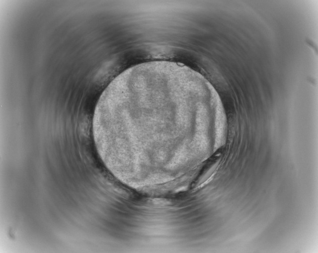 X0000098130078200805081007
