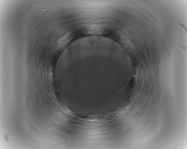 X0000098130080200805081007