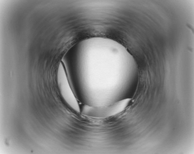X0000098130084200805081007