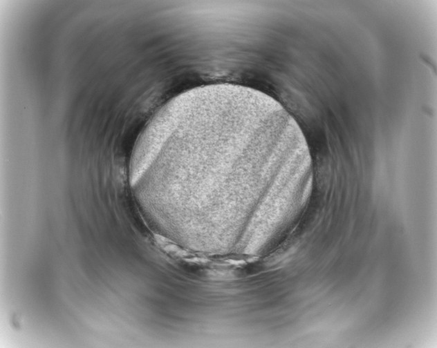X0000098130085200805081007