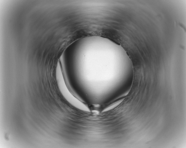 X0000098130088200805081007