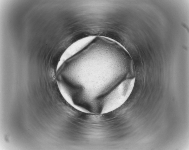 X0000098130089200805081007