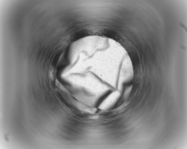 X0000098130090200805081007
