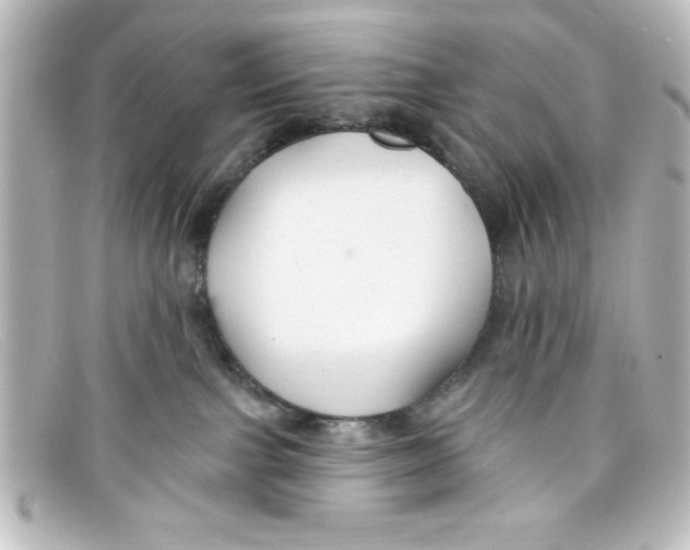 X0000098130091200805081007