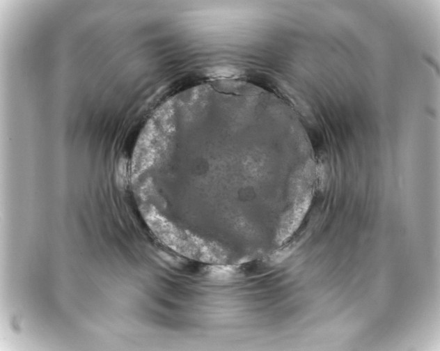 X0000098130093200805081007