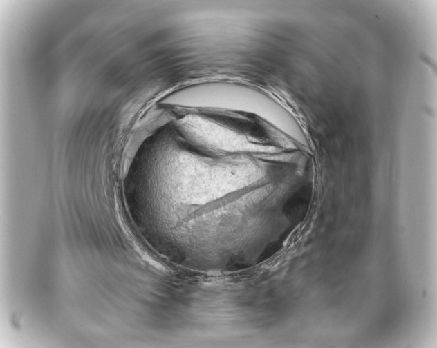 X0000098130097200805081007