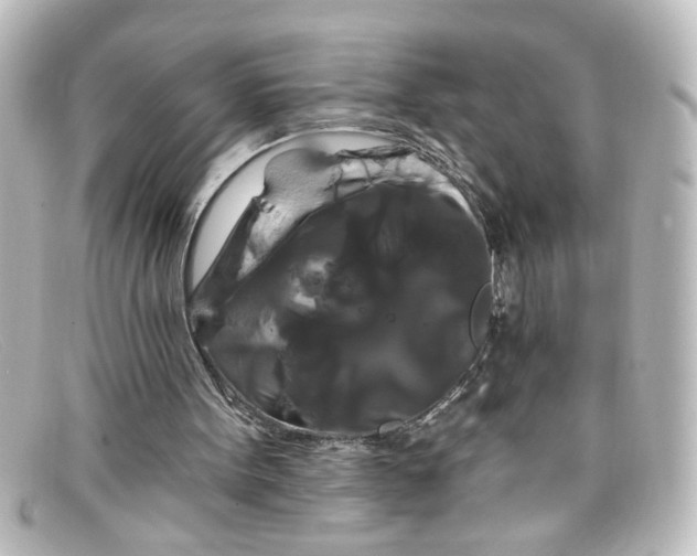 X0000098130099200805081007