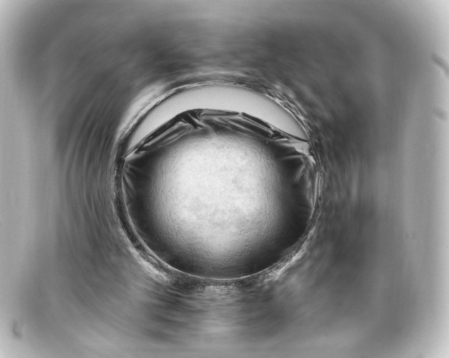 X0000098130101200805081007