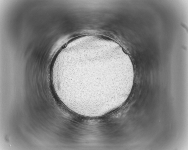 X0000098130103200805081007