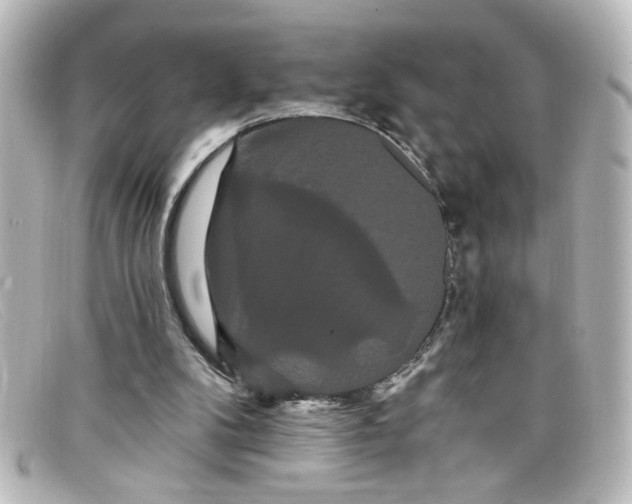 X0000098130104200805081007