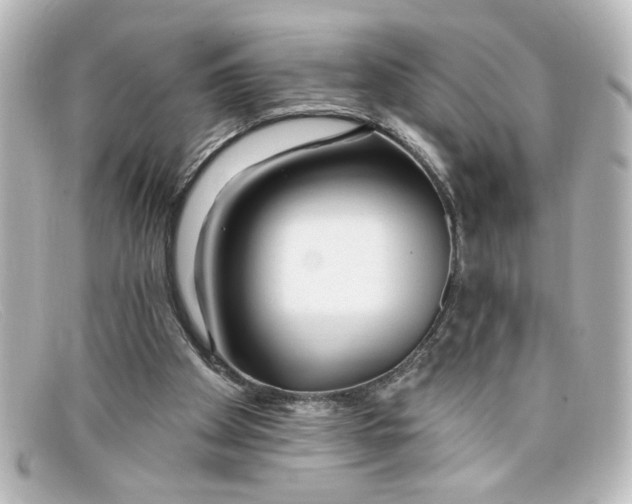 X0000098130105200805081007