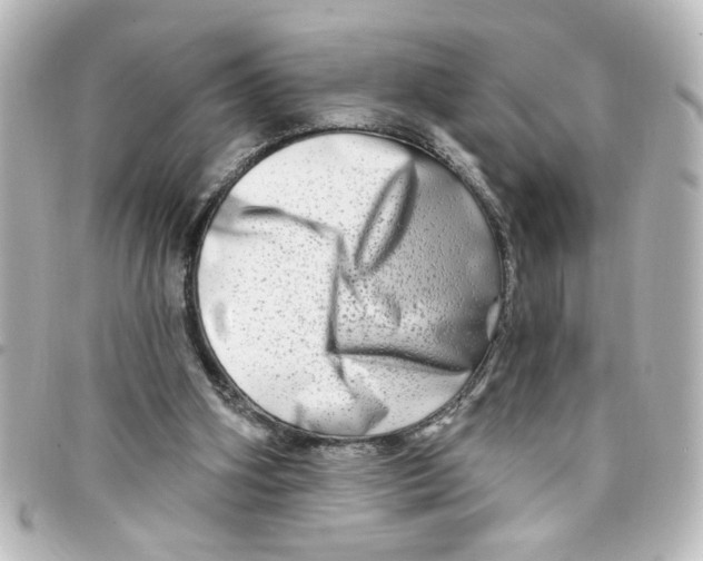 X0000098130106200805081007