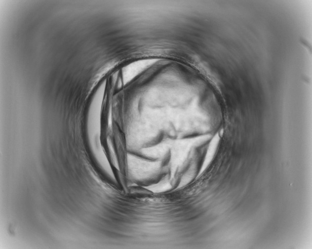X0000098130107200805081007