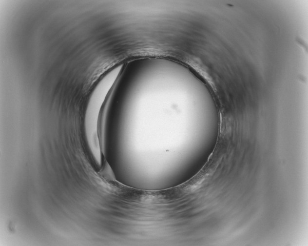 X0000098130109200805081007