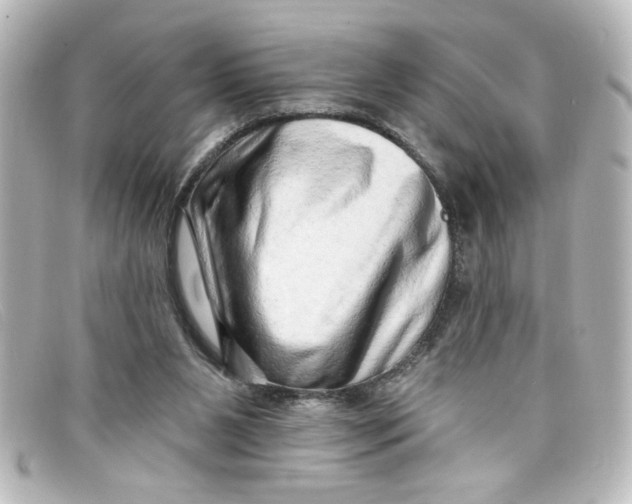 X0000098130111200805081007