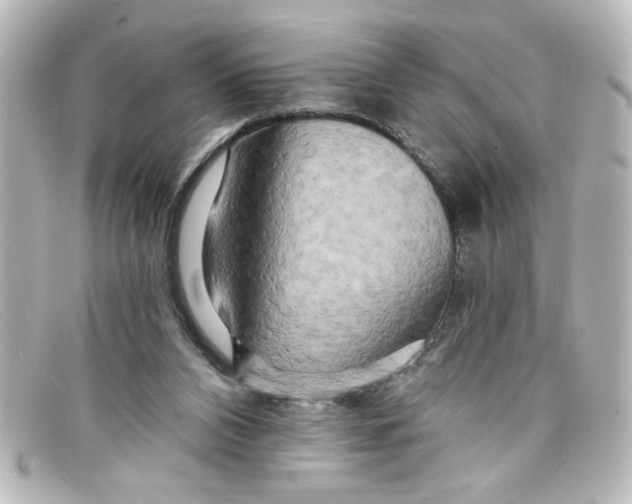X0000098130112200805081007