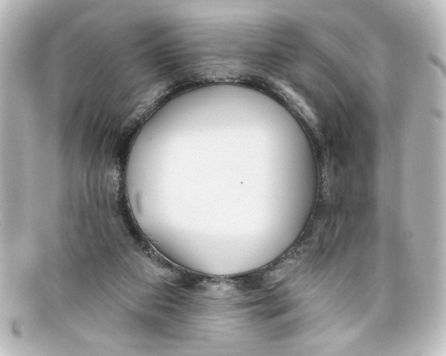X0000098130113200805081007