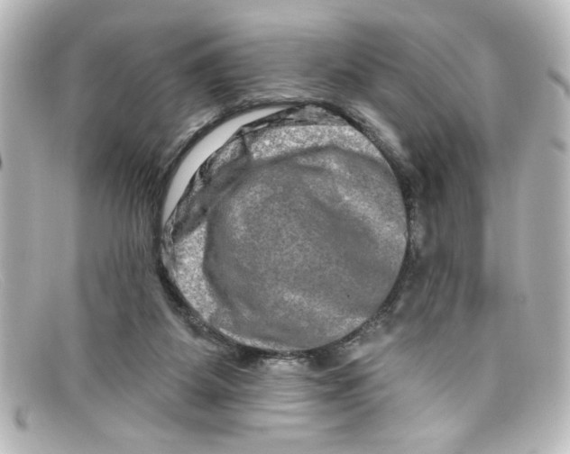 X0000098130115200805081007