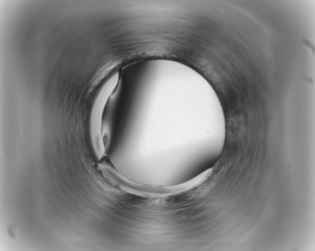 X0000098130116200805081007