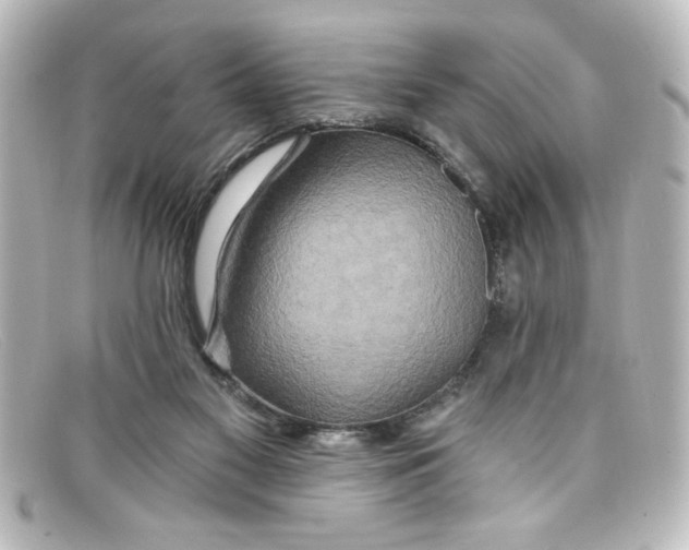 X0000098130117200805081007