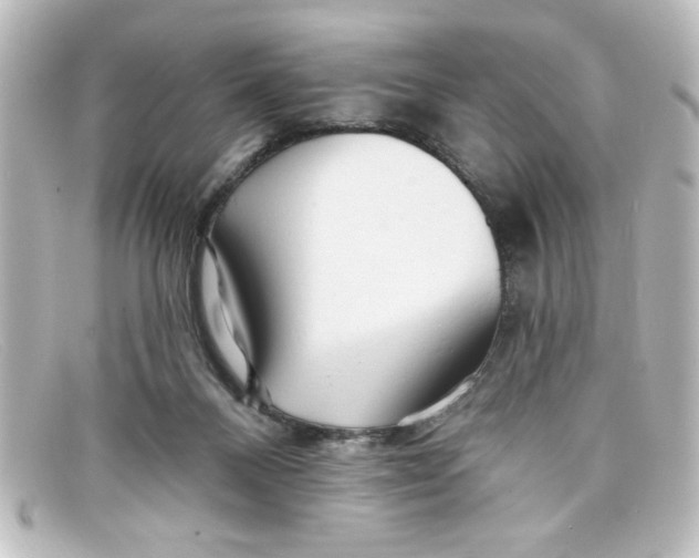 X0000098130120200805081006