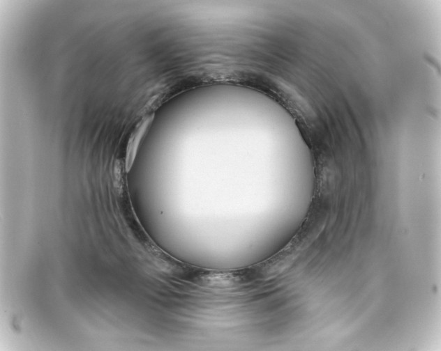 X0000098130121200805081006