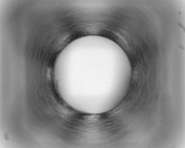 X0000098130122200805081006