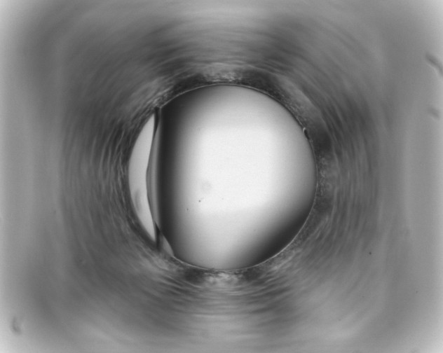 X0000098130125200805081006