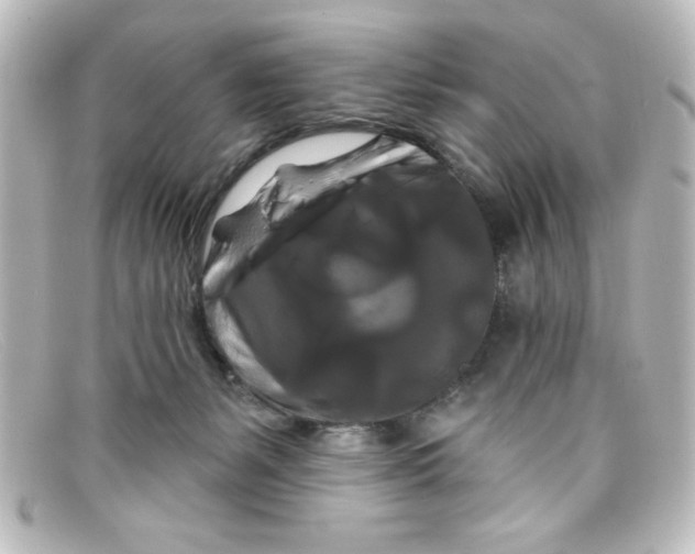X0000098130127200805081006