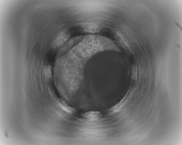 X0000098130128200805081006