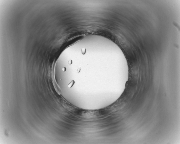 X0000098130129200805081006