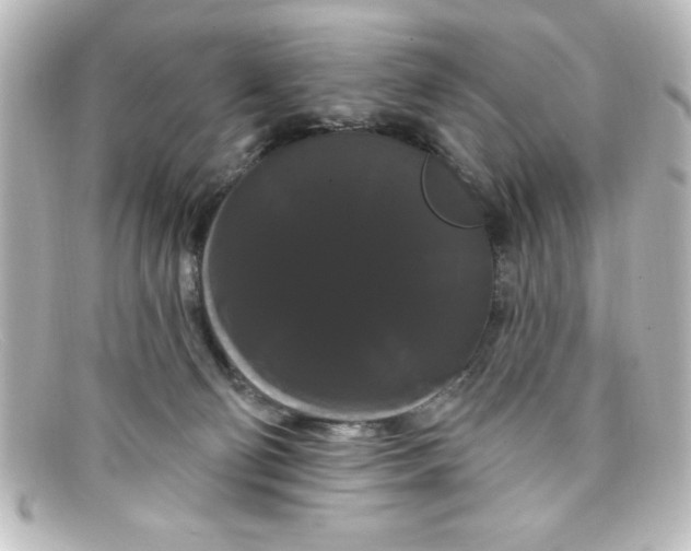 X0000098130130200805081006