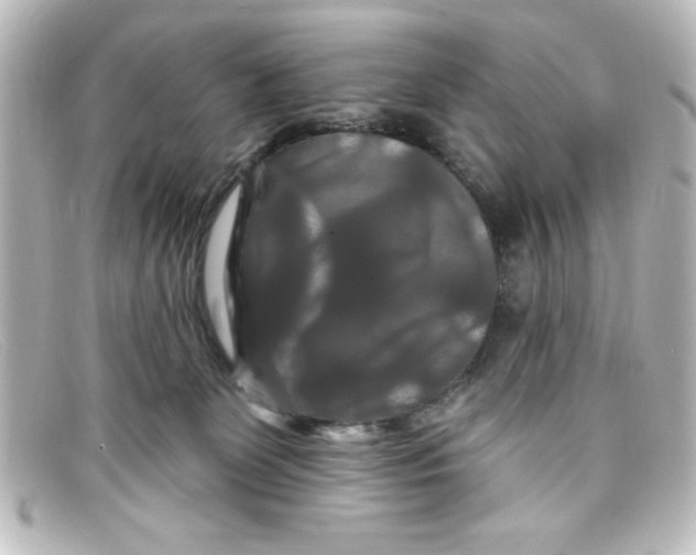 X0000098130131200805081006