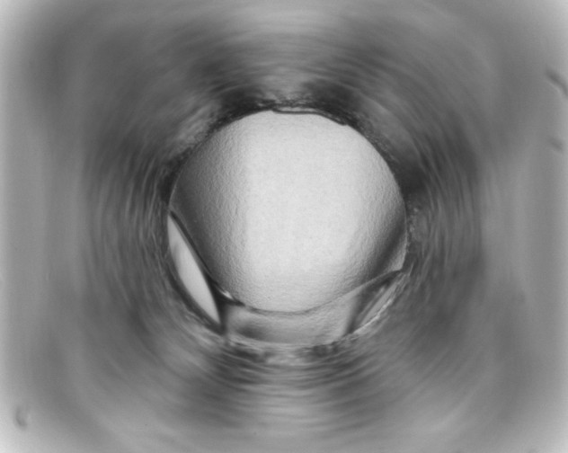 X0000098130132200805081006
