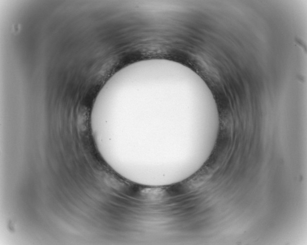 X0000098130133200805081006