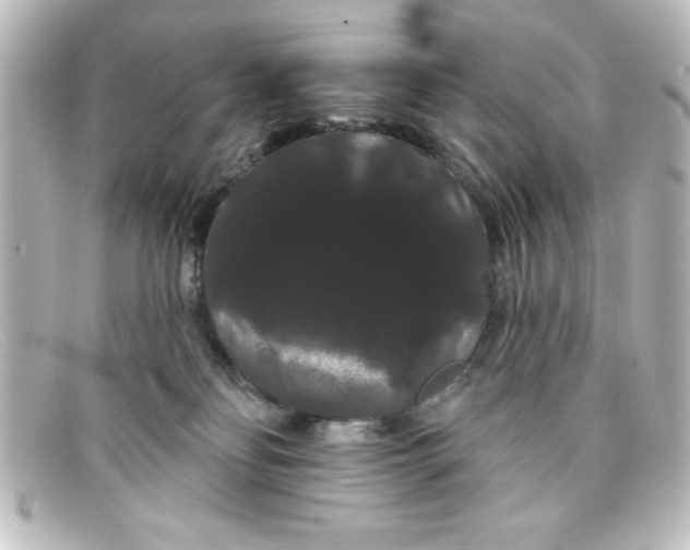 X0000098130134200805081006