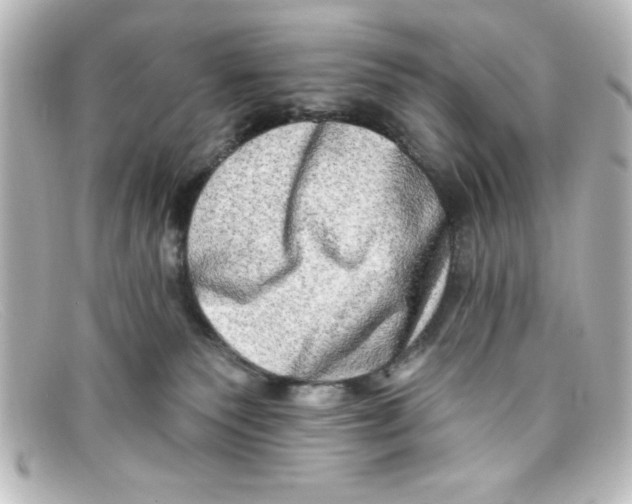 X0000098130135200805081006