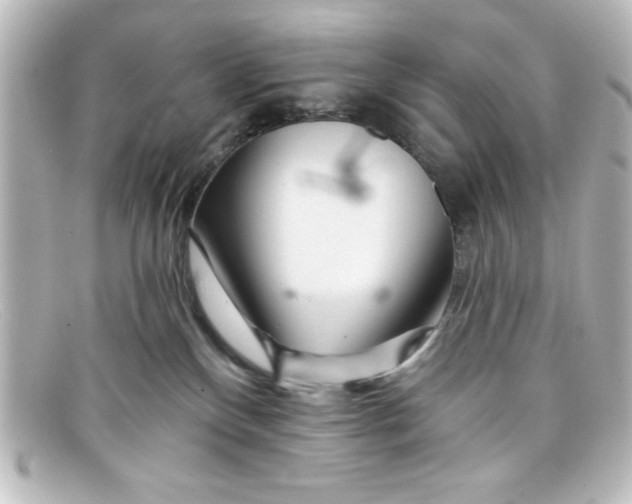 X0000098130136200805081006