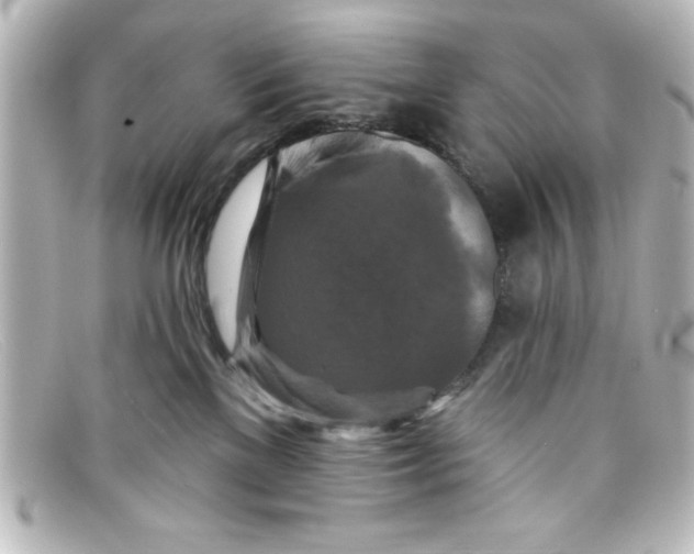 X0000098130137200805081006