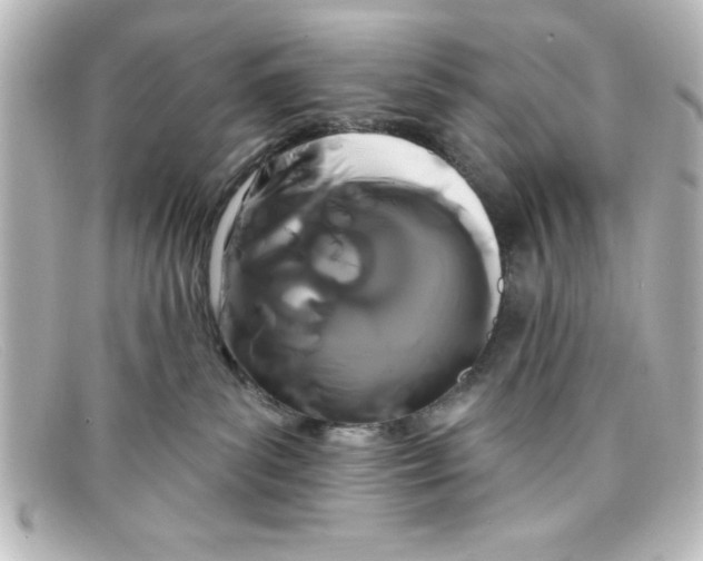 X0000098130139200805081006