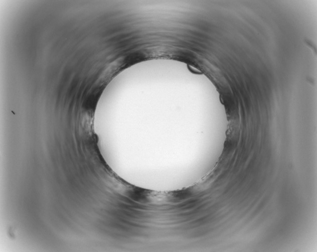 X0000098130142200805081006