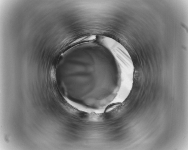 X0000098130143200805081006