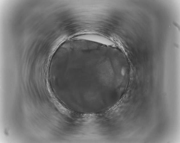 X0000098130145200805081005