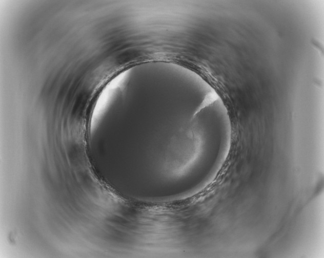 X0000098130146200805081006