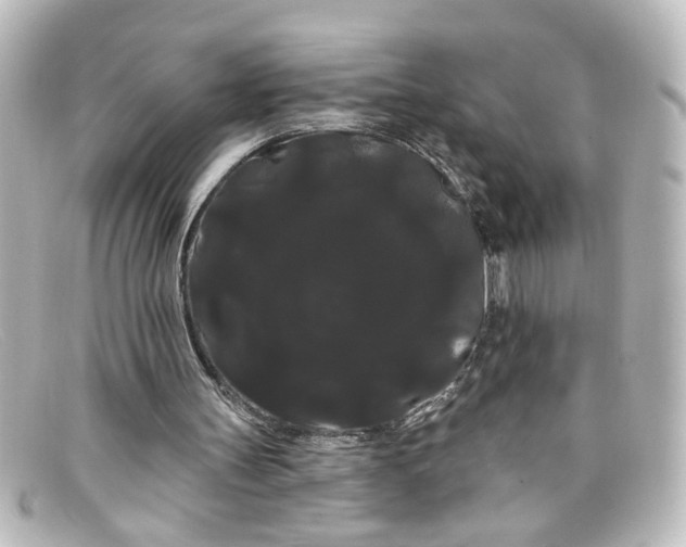 X0000098130147200805081006