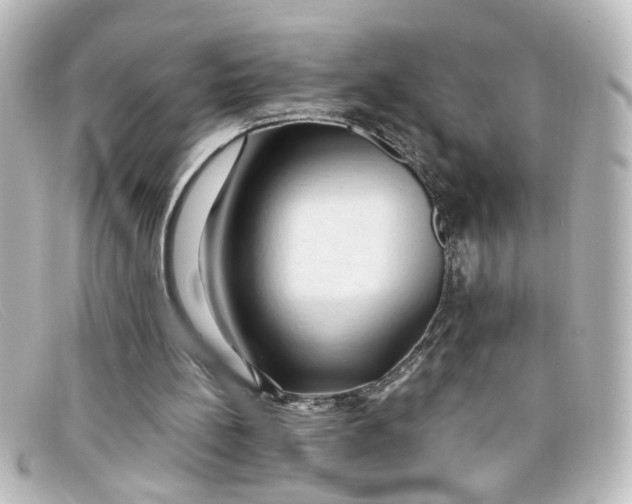 X0000098130148200805081006
