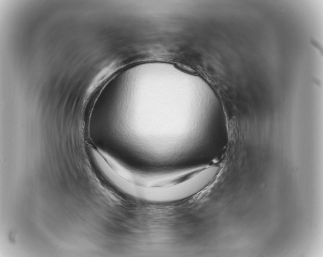 X0000098130150200805081006