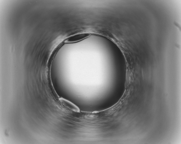 X0000098130152200805081006