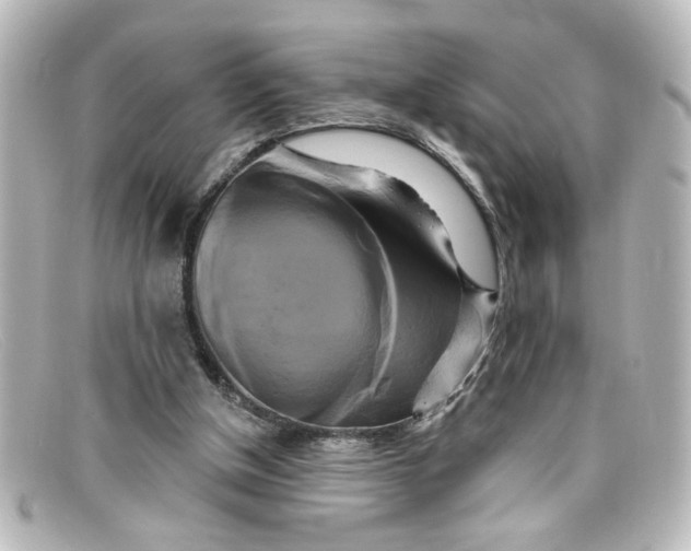 X0000098130154200805081006