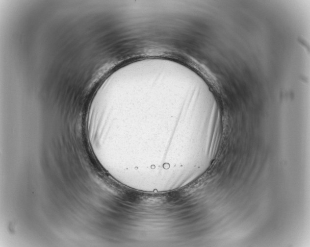 X0000098130155200805081006